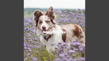Uplifting Backdrops for Puppy Afternoon Naps