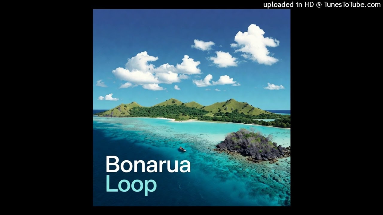 Bonarua Loop #2026 #reggae  Music 