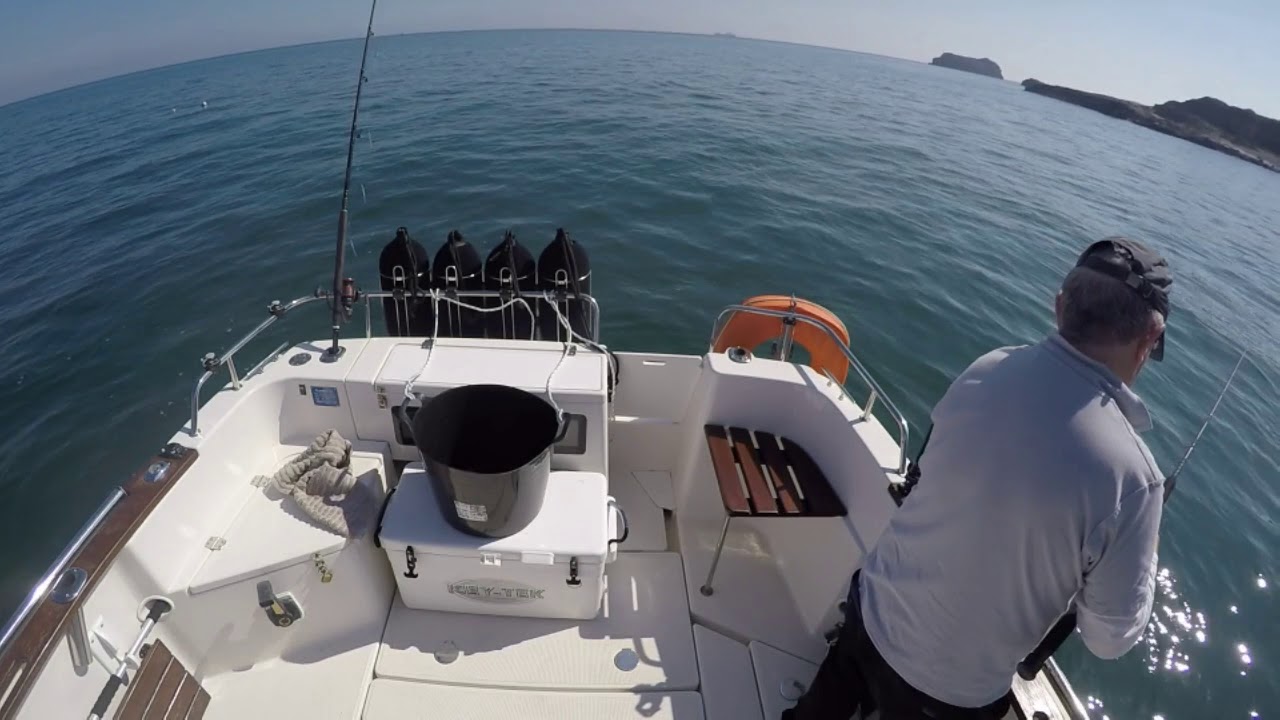 Arvor 230AS Red Snapper First trial