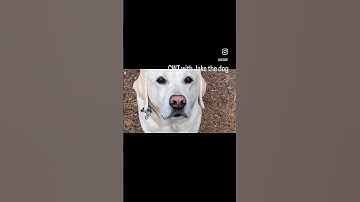 CWT CWops #qrp #hamradio #morsecode