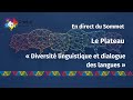 Le plateau  diversit linguistique et dialogue des langues