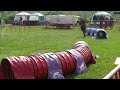Belgische Herders 27/09/2025 Taiko jumping
