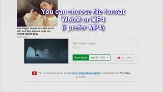 How to download youtube videos from your computer (Audio in MIZO) screenshot 4