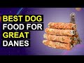 Top 5 Best Dog Food For Great Danes | Top Rated Dog Food For Great Danes
