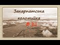 Закарпатська Коломийка 34 Transcarpathian kolomyjka 34 #коломийка