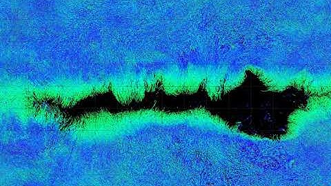 Wound healing in epithelial cells, 96 hour time-lapse