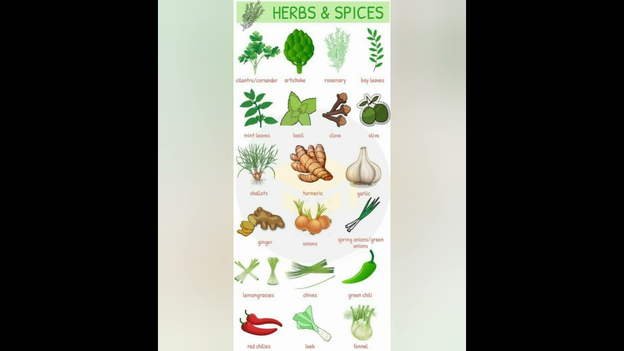 vocabulary of herbs and spices