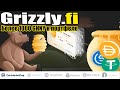 GrizzlyFi закупился токенами/уменьшил фарминг/НОВОСТИ