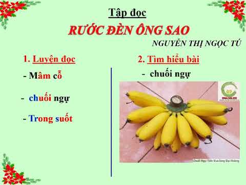 Lớp 3_Tập đọc _Rước đèn ông sao