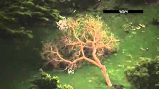 Raw  Possible Fla  Tornado Tosses Trucks, Trees