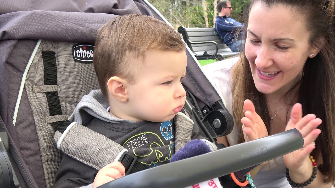 Turtle Back Zoo Ant's First birthday 2nd half YouTube