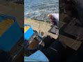 ПІДПИШИСЬ‼️ Тут про РИБАЛКУ🎣 #Flagman #FlagmanПринада #fishing #shorts #tiktok #reels