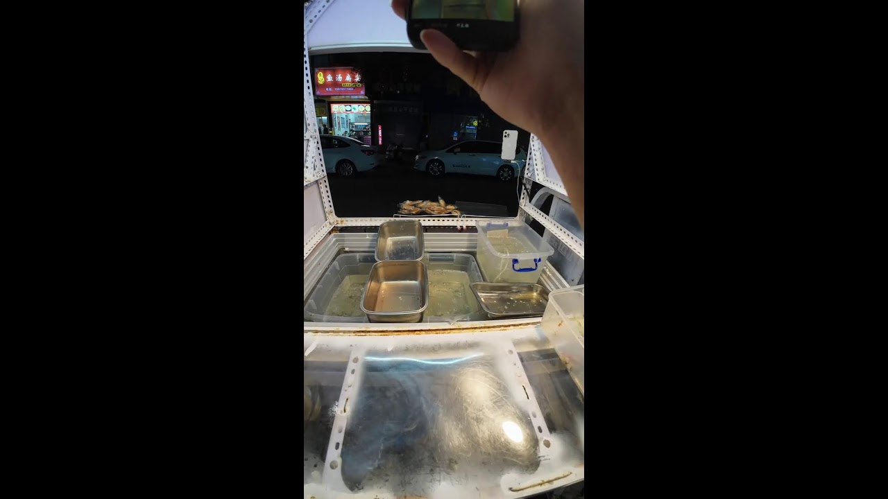 Live streaming of 威武雄壮