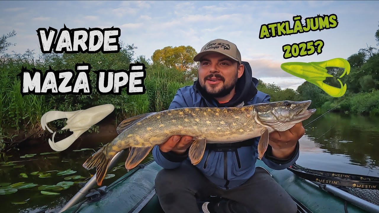 Varde mazā upē! Vai šis būs mans šīs sezonas atklājums? Līdaku un sapalu spiningošana.