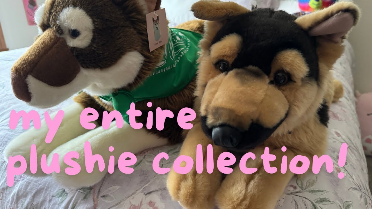 my plushie collection! (Douglas, Jellycat, & more!)