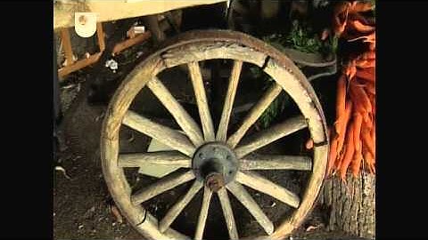 Imported Food - Introducing Environment (5/16)