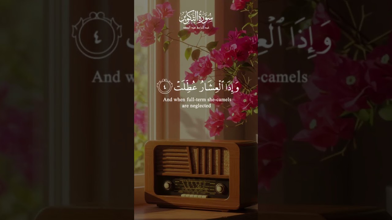 تلاوة مهيبة للشيخ عبد الباسط | ﴿إِذَا الشَّمْسُ كُوِّرَتْ﴾ تهز القلوب