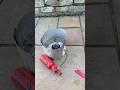 Msr Dragonfly Stove 2020 Camping Stove