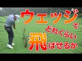 【今平周吾】ウェッジでどれくらい飛ばせるか...。驚きの結末が！？