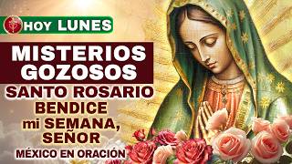 Download Lagu Santo Rosario HOY Lun 23 Feb 2026 (Gozosos) — Bendice mi semana Señor | México en nuestras oraciones MP3