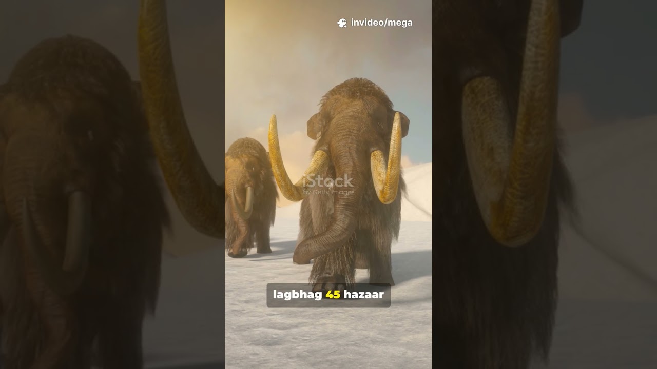 🌎Human🚶 Migration