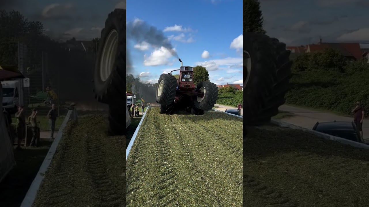 International Harvester 1046 tractor 🚜😈 | 