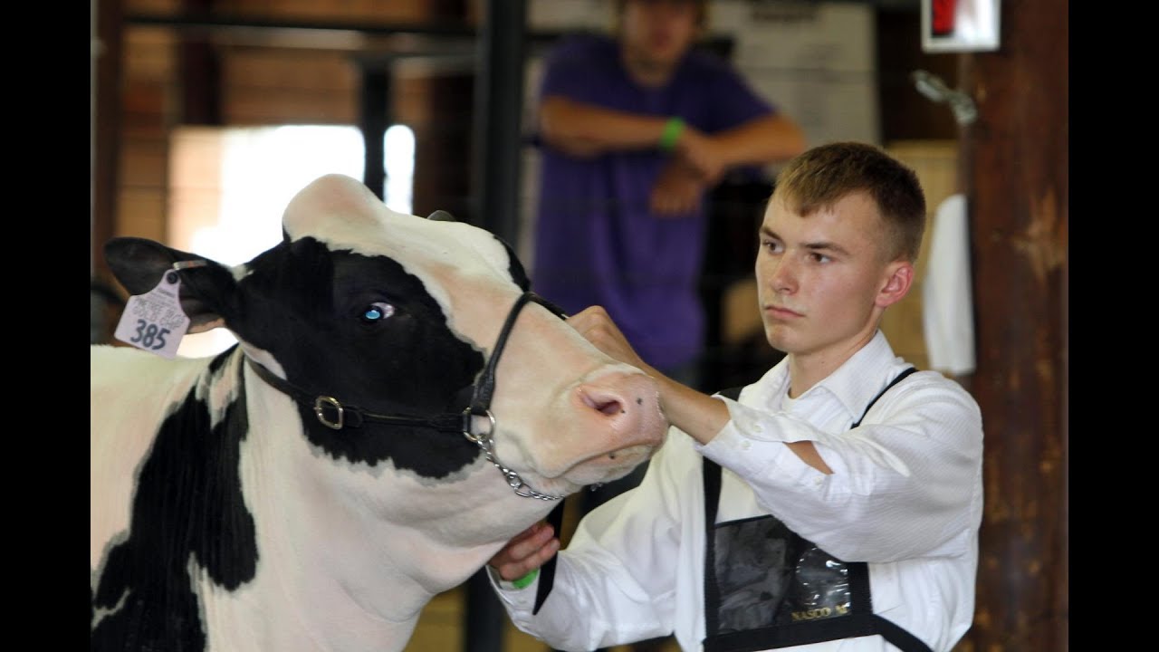 LIVE from 2018 Dodge County Fair Junior Fair Dairy Showmanship and Open