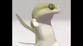 Lizard Vibing 1H