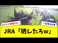 【お笑い】サメカツのジョッキーカメラ、無事公開されてしまうw w w