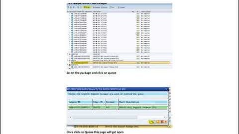 SAP Support Package Updates Steps