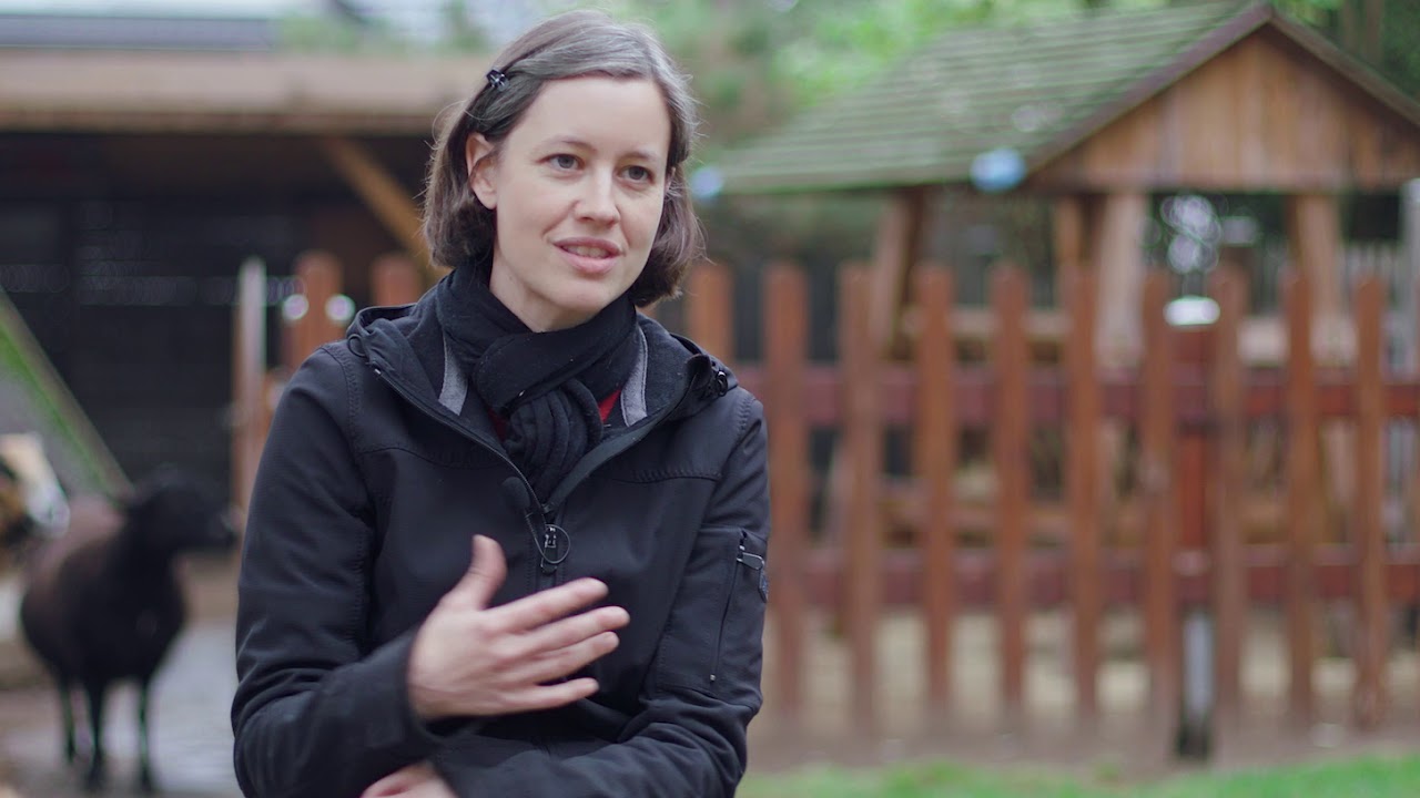 KiTa Regenbogen | Lebenshilfe Bernburg