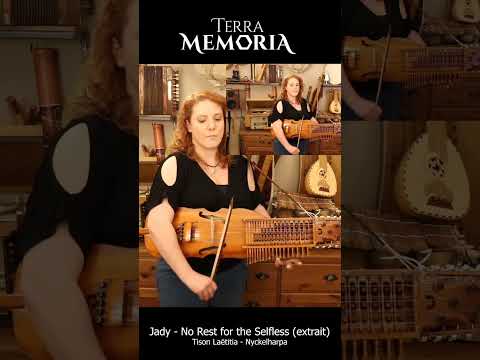 Jai eu le plaisir denregistrer au nyckelharpa deux musiques pour le jeu vidéo RPG Terra Memoria @instrumentarium_insolite