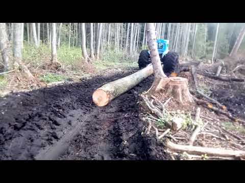 Т-40 здоров и валит по ольхе