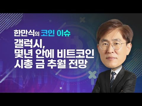   한만식의 코인 핫 이슈 갤럭시 몇년 안에 비트코인 시총 금 추월 전망