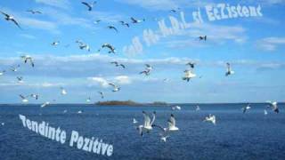 SoB ft. N.D.L si EcZistent - Tendinte Pozitive