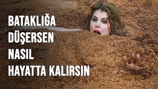 Bataklığa Düşersen Nasıl Hayatta Kalırsın? Resimi