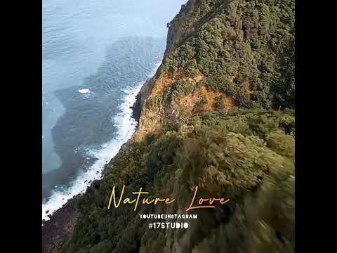 Nature What Sapp Status Charlie Bgm WhatsApp Status 17Studio 