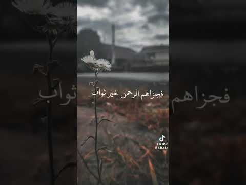 هم ناصرو المختار في تبليغيه