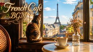 French Café BGM | Upbeat Parisian Accordion Instrumental Music for Study & Work | 1 Hour