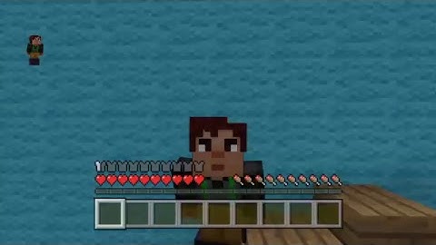 CACHE-CACHE MINECRAFT BOB L