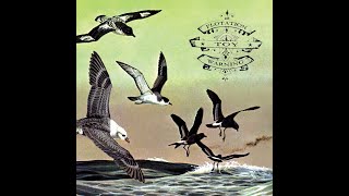 Flotation Toy Warning - Donald Pleasance