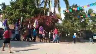 Pomaro 2019 fiesta patronal