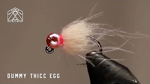 How To Tie The Dummy Thicc Egg Fly Pattern