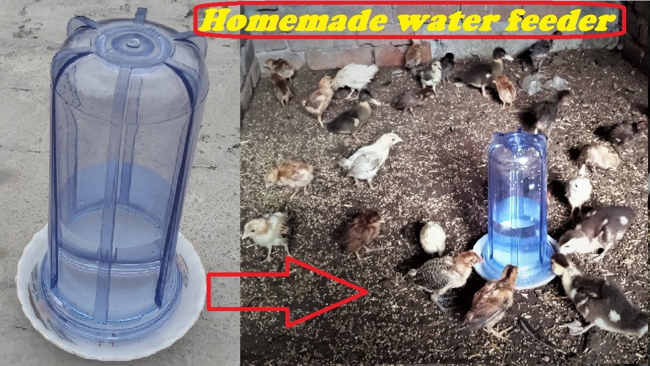 How to make automatic water feeder for chicken AT HOME || HOMEMADE ...