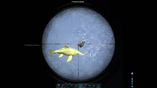 Clip dump arena/open world clips