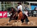 Cavalo crioulo  luiz carlos borges  mauro ferreira