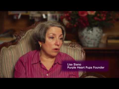 Purple Heart Pups 5 Minute Documentary