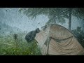 THE WORST RAIN STORM I'VE EVER EXPERIENCED !!️ CAMPING IN HEAVY RAIN
