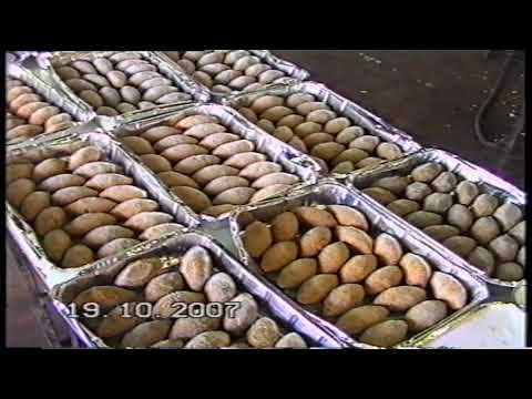 سهرة علي نصر اماره