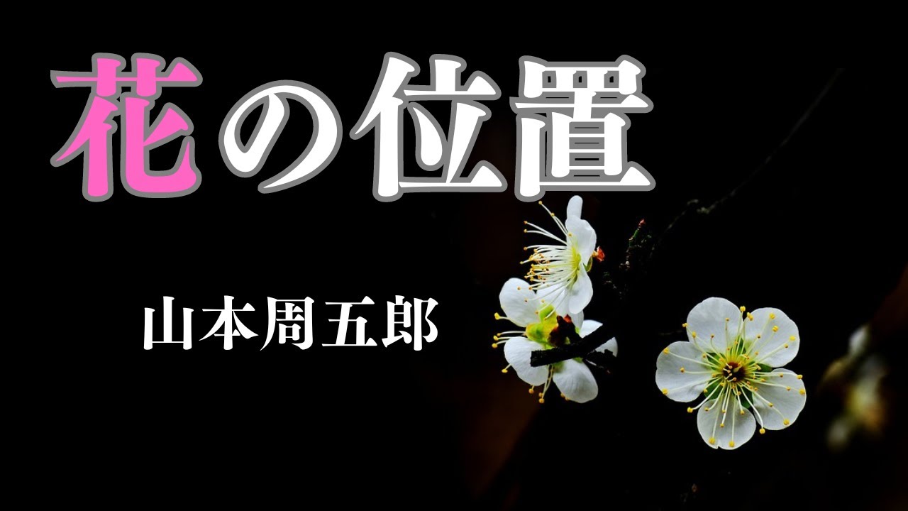 Japanese Literature Reading] Shugoro Yamamoto's 